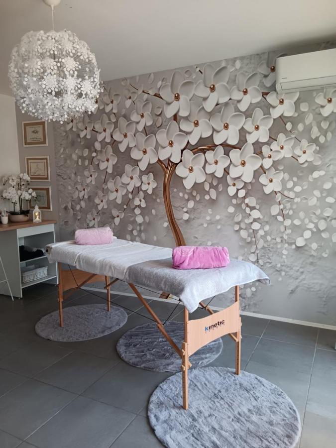شقة Chambre Cosy Non Fumeur Châteaurenard المظهر الخارجي الصورة